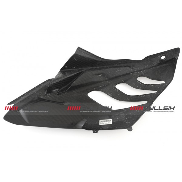 BMW S1000RR 09-11 FAIRING SIDE PANEL - UPPER RIGHT, RACING