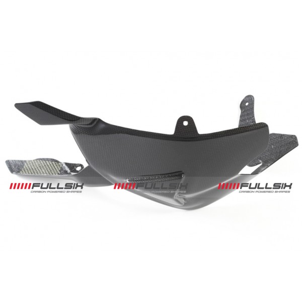 Ducati Panigale 1199 SWINGARM GUARD - ONEPIECE