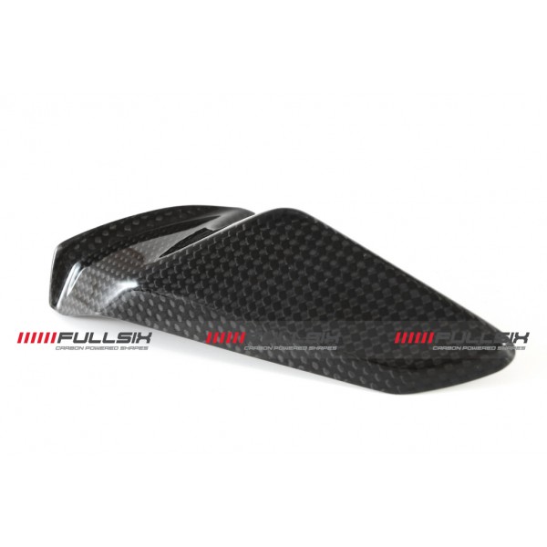 Ducati Panigale 1299 SWINGARM GUARD - SHARK FIN