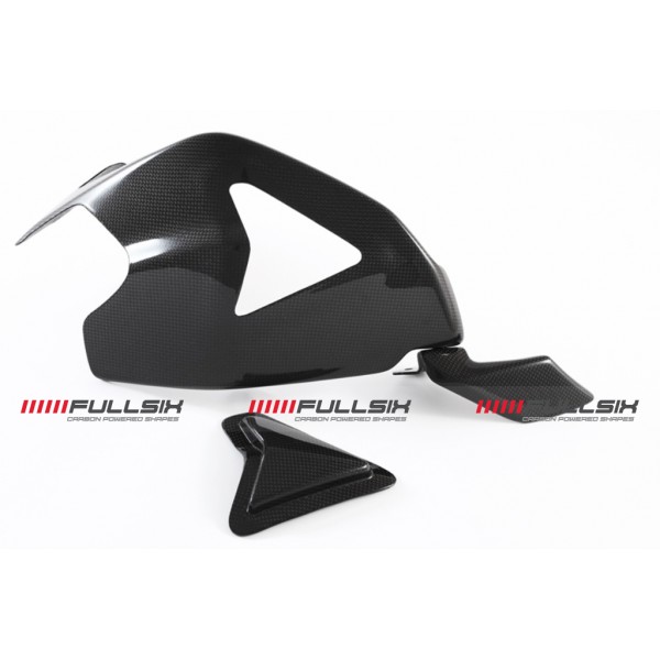 Ducati Panigale 1199 SWINGARM GUARD with SLIDER an...