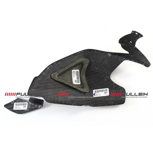 Ducati Panigale 1199 SWINGARM GUARD with SLIDER and SHARK FIN