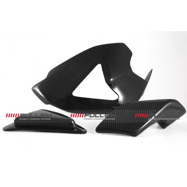Ducati Panigale 1199 SWINGARM GUARD with SLIDER and SHARK FIN