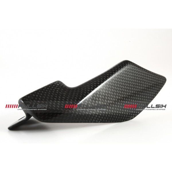 Ducati Panigale 1199 SWINGARM GUARD - SHARK FIN