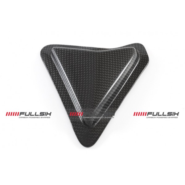 Ducati Panigale 1299 SWINGARM GUARD - SLIDER