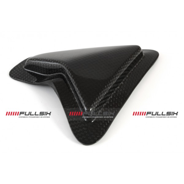 Ducati Panigale 1299 SWINGARM GUARD - SLIDER