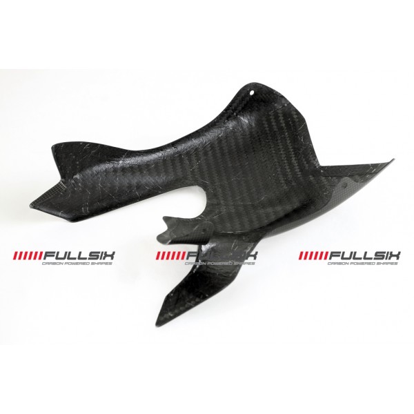 Ducati StreetFighter SWINGARM GUARD