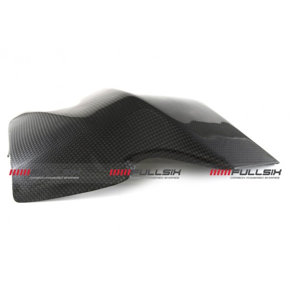 Ducati Supersport SWINGARM GUARD